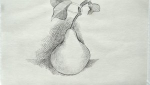 Pear-drawing-by-Kay-Morris-for-PR-745x425