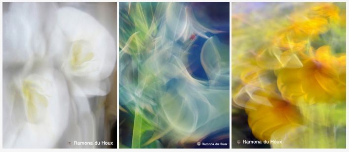 Screen Shot 2015-06-10 at 3.10.45 PM