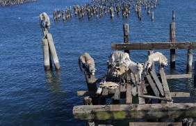 Screen Shot 2015-08-07 at 12.22.46 PM