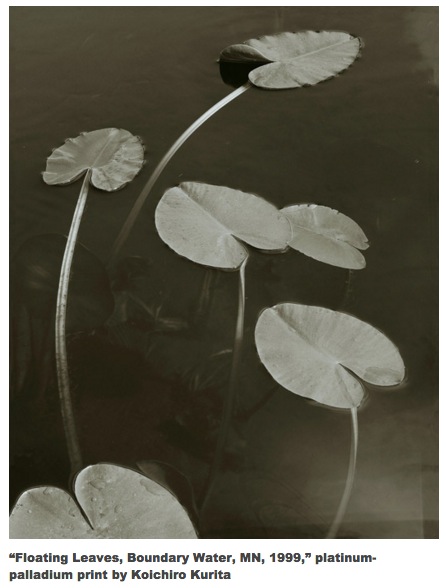 Screen Shot 2016-04-12 at 4.20.36 PM